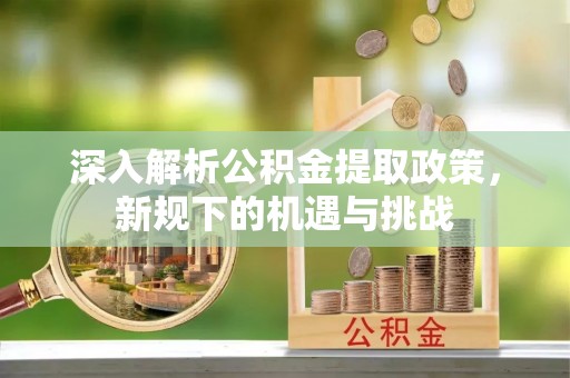 洛扎深入解析公积金提取政策，新规下的机遇与挑战
