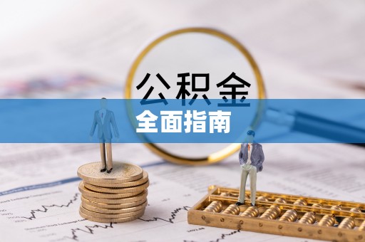 洛扎全面指南