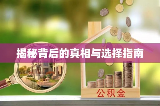 洛扎揭秘背后的真相与选择指南