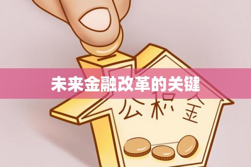 洛扎未来金融改革的关键