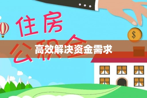 洛扎高效解决资金需求