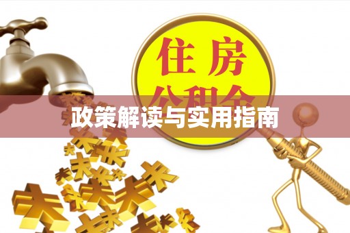 洛扎政策解读与实用指南