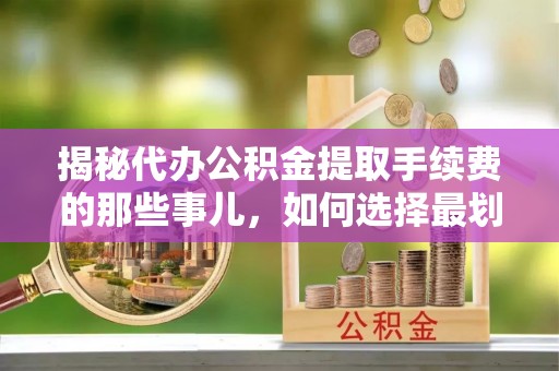 洛扎揭秘代办公积金提取手续费的那些事儿，如何选择最划算的服务？