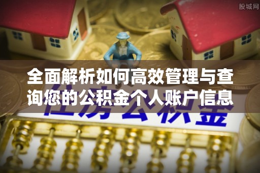 洛扎全面解析如何高效管理与查询您的公积金个人账户信息