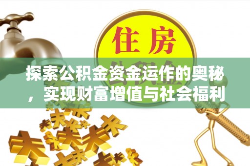 洛扎探索公积金资金运作的奥秘，实现财富增值与社会福利双赢