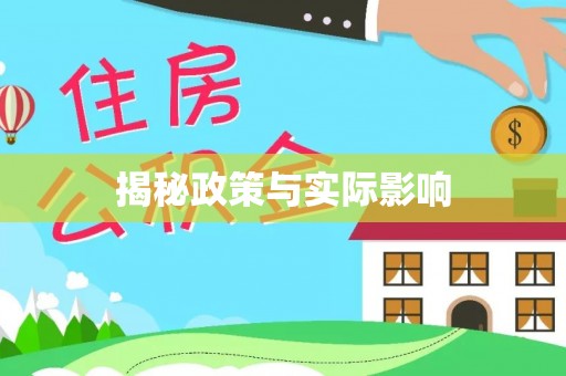 洛扎揭秘政策与实际影响