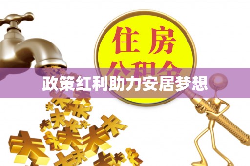 洛扎政策红利助力安居梦想