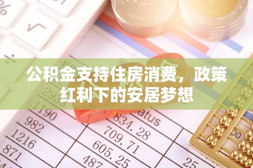洛扎公积金支持住房消费，政策红利下的安居梦想