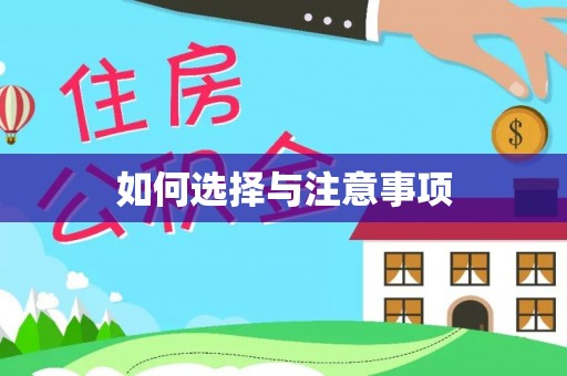 洛扎如何选择与注意事项
