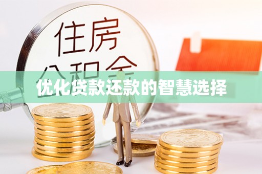 洛扎优化贷款还款的智慧选择