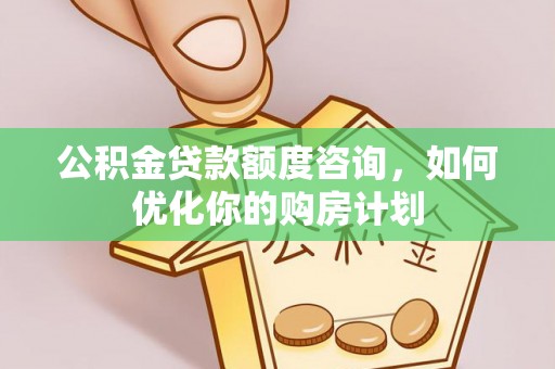 洛扎公积金贷款额度咨询，如何优化你的购房计划
