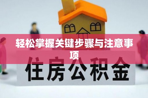 洛扎轻松掌握关键步骤与注意事项