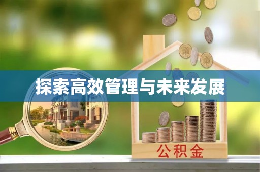 洛扎探索高效管理与未来发展