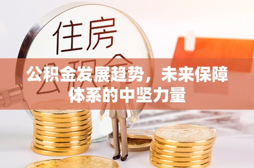 洛扎公积金发展趋势，未来保障体系的中坚力量