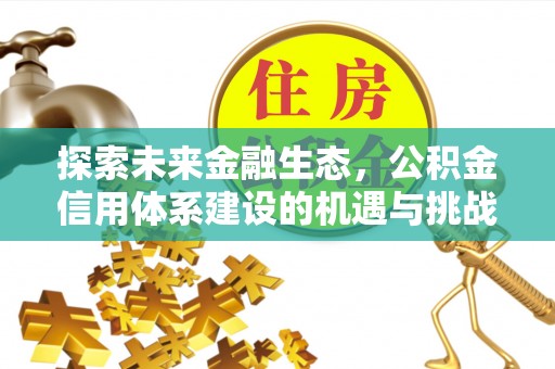 洛扎探索未来金融生态，公积金信用体系建设的机遇与挑战