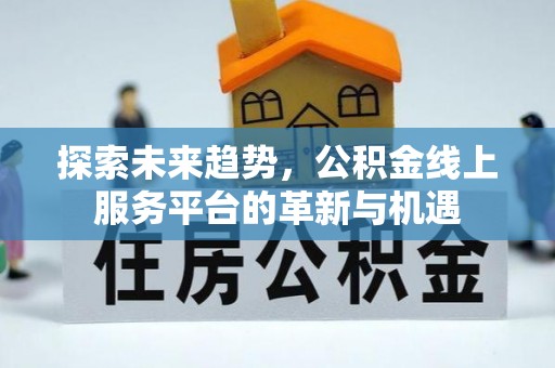 洛扎探索未来趋势，公积金线上服务平台的革新与机遇