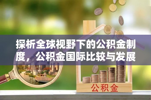 洛扎探析全球视野下的公积金制度，公积金国际比较与发展趋势