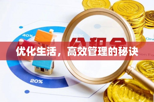 洛扎优化生活，高效管理的秘诀