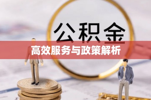 洛扎高效服务与政策解析