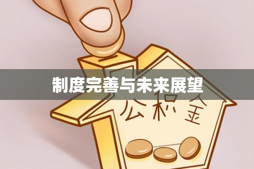 洛扎制度完善与未来展望