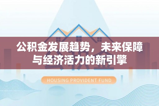 洛扎公积金发展趋势，未来保障与经济活力的新引擎