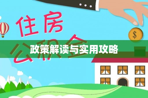 洛扎政策解读与实用攻略