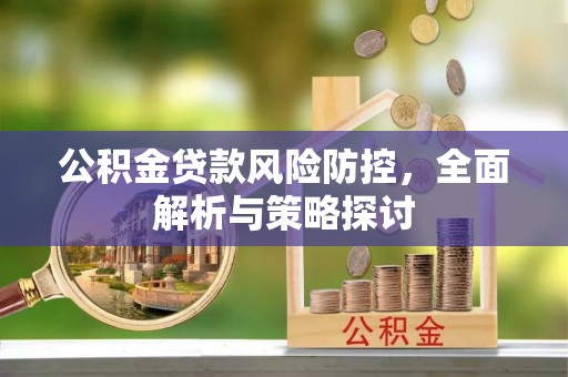 洛扎公积金贷款风险防控，全面解析与策略探讨