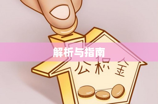 洛扎解析与指南