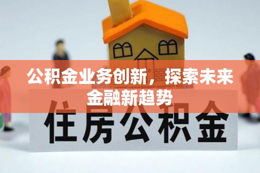 洛扎公积金业务创新，探索未来金融新趋势