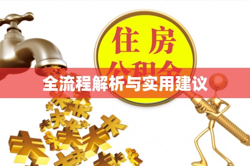 洛扎全流程解析与实用建议