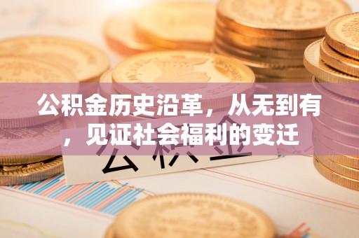 洛扎公积金历史沿革，从无到有，见证社会福利的变迁