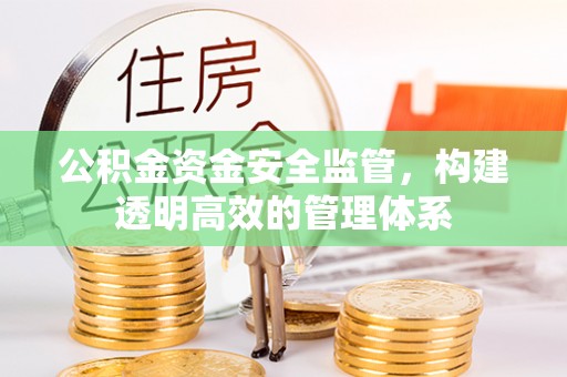 洛扎公积金资金安全监管，构建透明高效的管理体系