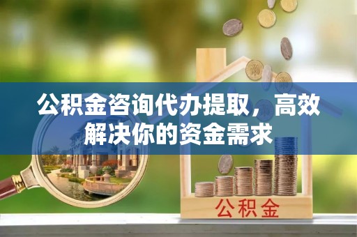洛扎公积金咨询代办提取，高效解决你的资金需求