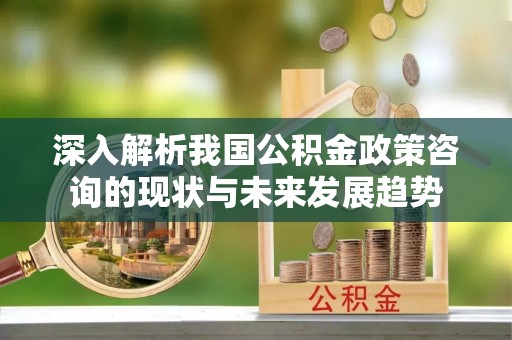 洛扎深入解析我国公积金政策咨询的现状与未来发展趋势