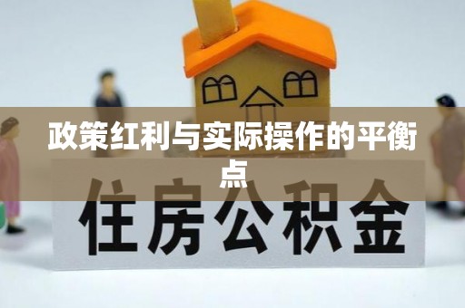 洛扎政策红利与实际操作的平衡点