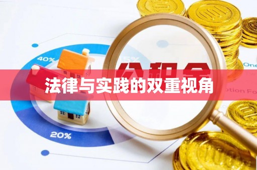 洛扎法律与实践的双重视角