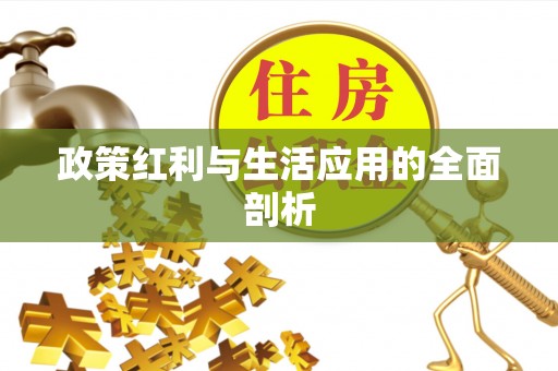 洛扎政策红利与生活应用的全面剖析
