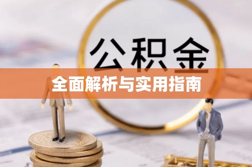 洛扎全面解析与实用指南