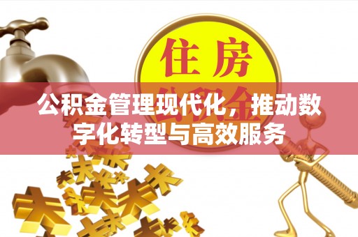 洛扎公积金管理现代化，推动数字化转型与高效服务