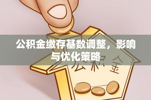 洛扎公积金缴存基数调整，影响与优化策略