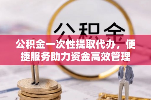 洛扎公积金一次性提取代办，便捷服务助力资金高效管理