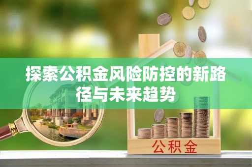 洛扎探索公积金风险防控的新路径与未来趋势