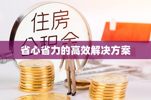 洛扎省心省力的高效解决方案