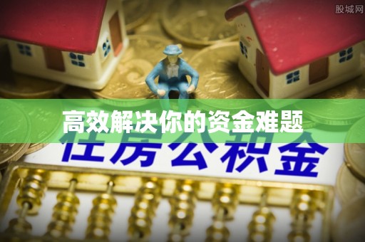 洛扎高效解决你的资金难题
