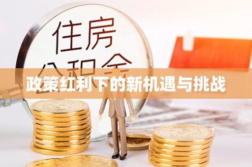 洛扎政策红利下的新机遇与挑战