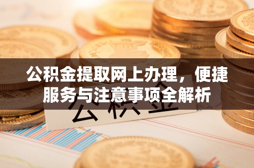 洛扎公积金提取网上办理，便捷服务与注意事项全解析