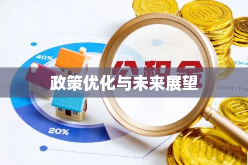洛扎政策优化与未来展望