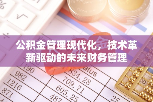 洛扎公积金管理现代化，技术革新驱动的未来财务管理