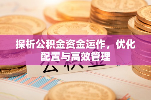 洛扎探析公积金资金运作，优化配置与高效管理