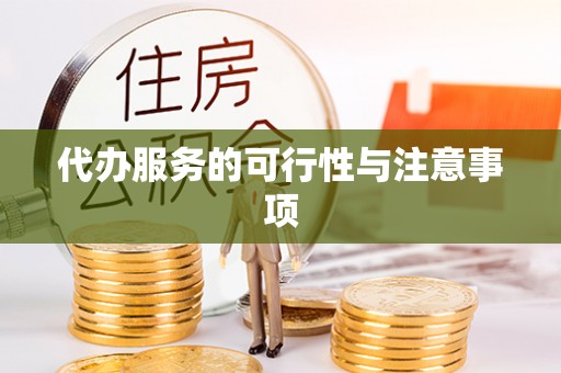 洛扎代办服务的可行性与注意事项